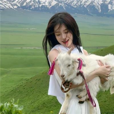 契诃夫之海鸥