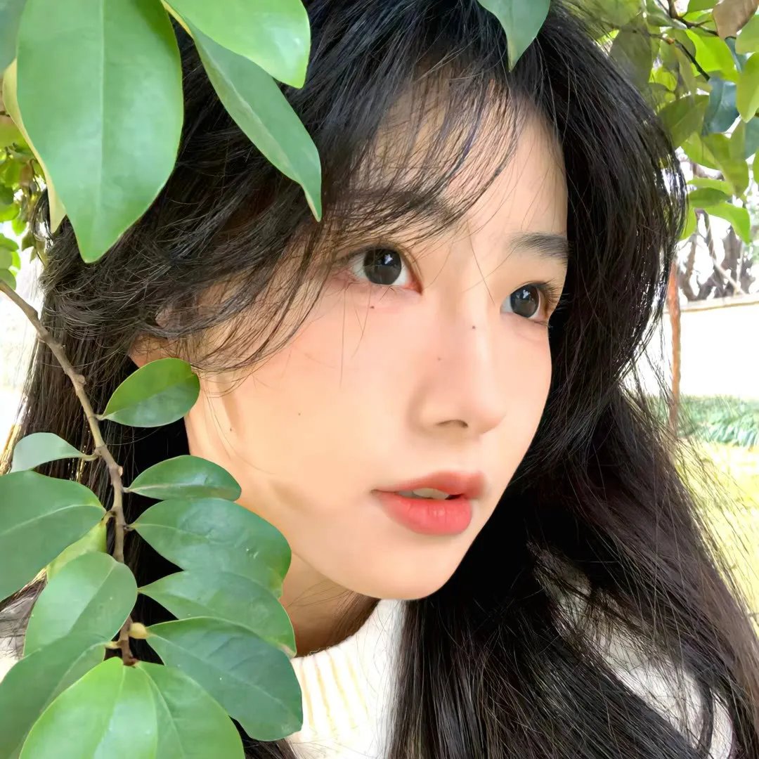 不接吻名单